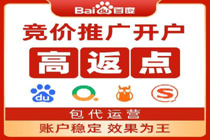 SEM代运营机构案例分析：优化策略与执行